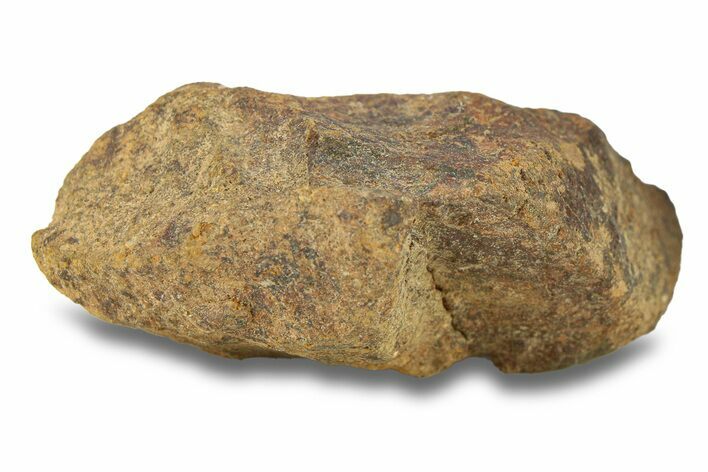 Gold Basin Chondrite Meteorite ( g) - Arizona #282837